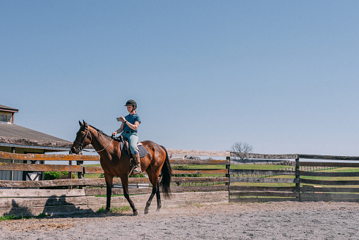 Young female horse jockey riding circles in the round pen on a brown horse on a sunny spring day in Maryland, USA. \n\nThe round pen provides a confined space for the horse and rider to work on maneuvers, transitions, or training exercises in a controlled environment.