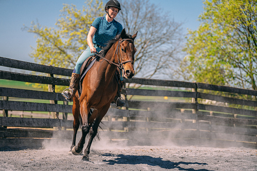 Young female horse jockey riding circles in the round pen on a brown rescue horse on a sunny spring day in Maryland, USA. 

the round pen provides a confined space for the horse and rider to work on maneuvers, transitions, or training exercises in a controlled environment.