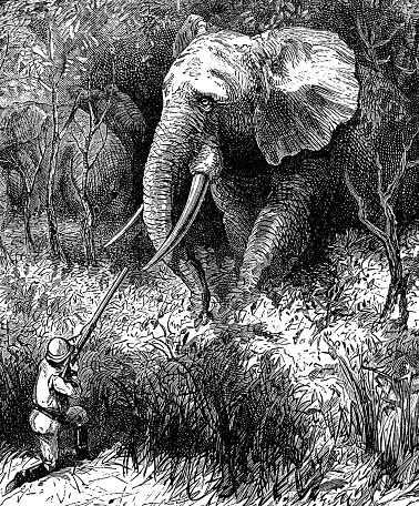A big game hunter hunting an elephant in Africa. Vintage etching circa 19th century.