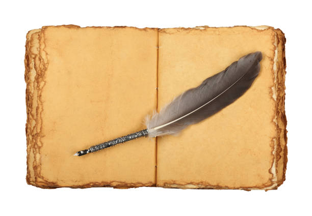 Close up one open old vintage book with blank brown paper parchment pages, antique quill and copy space isolated on white background
