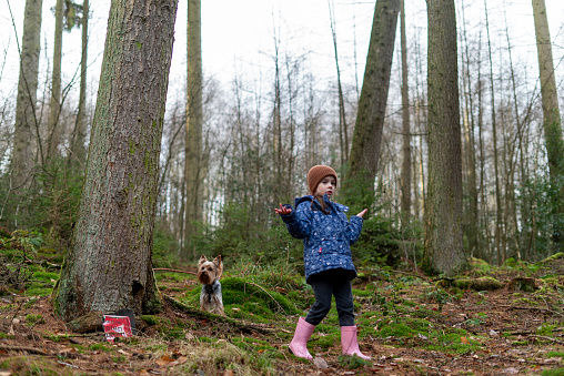 Little girl with a Yorkshire Terrier in the forest on a walk