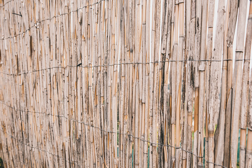 Close up of a bamboo fence in a backyard. Bamboo fence intertwined with ropes