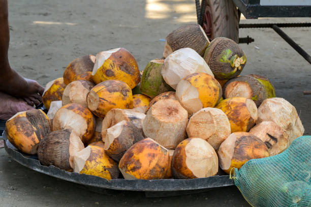 istock Pile of freshly cut coconut shells 2008603789