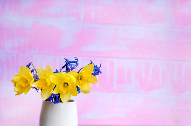 Yellow narcissus flowers in vase