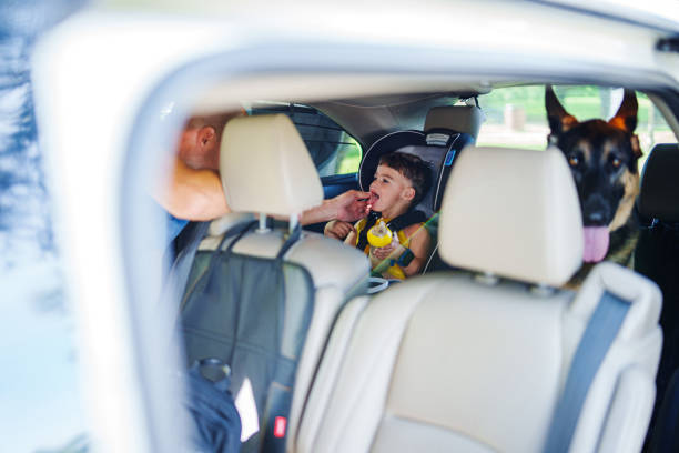 istock Father feeds toddler boy in the car 2008640618