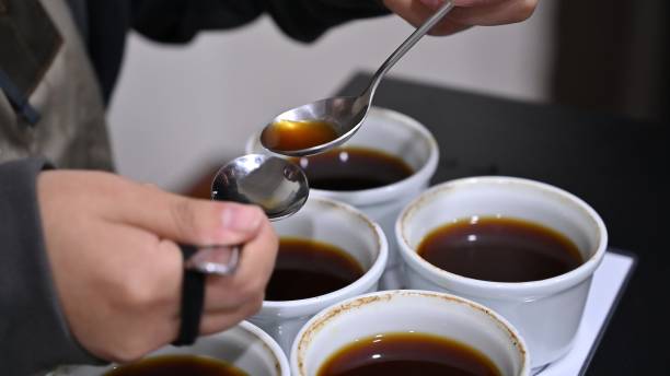 istock Professional barista tasting different types of coffee in cup tasters. Coffee degustation. 2008648089