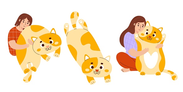 Woman with big toy cat set. Soft plush anti-stress cuddly oversized pillow toy. Person with comfortable cute animal to sleep and play. Isolated vector illustrations in flat style