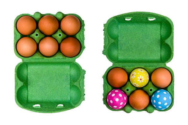 Set of cardboard boxes with chicken eggs isolated on white background. Top view