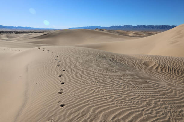 istock Footprints on a sand dune in a desert oasis 2008685431