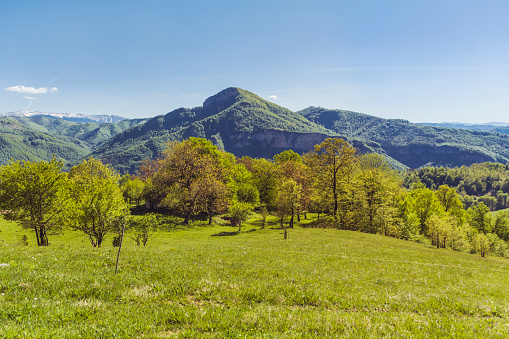 Panoramic view of  Rhodope Mountains  , Bulgaria