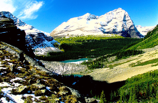 Jasper National Park. Alberta. Canadian Rockies. Red deer grazing on the river bank. Picturesque mountains surround the waterfall and the Athabasca River