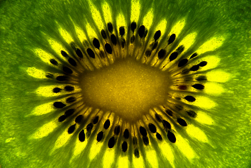 kiwi slice against light, close up view, green color fruit on white background