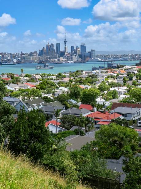 istock Auckland in Summer 2008749419