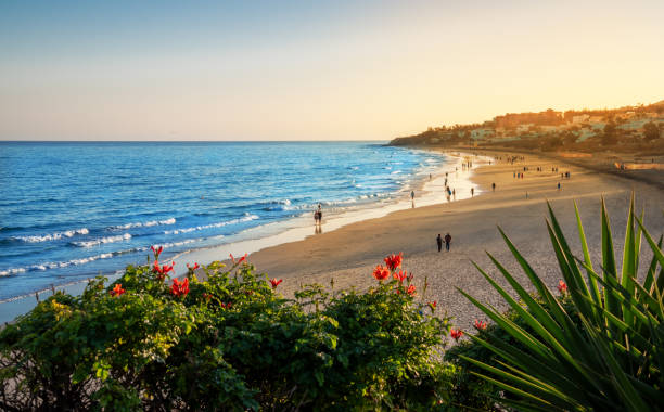 Costa Calma beach in the sunset light
