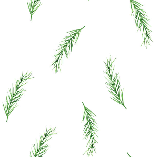 watercolor seamless pattern illustration of fresh rosemary isolated on background. detail of beauty products and botany set, cosmetology and medicine. for designers, spa decoration, postcards, wrapping paper, scrapbooking, covers, invitations, poste - herb spice basil mint stock-grafiken, -clipart, -cartoons und -symbole