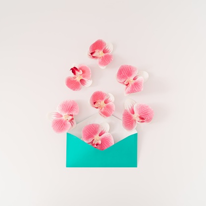 Creative composition made with beautiful orchid flowers coming out of green envelope on white background. Minimal concept. Trendy spring and summer flowers idea. Nature flat lay.