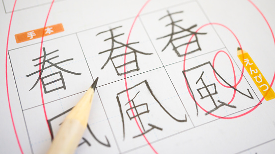 Japanese elementary school national language test paper