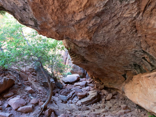 istock Rocky Mountain Path  at Zion National Park 2008896703