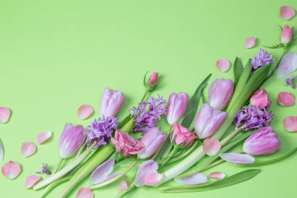 istock spring flowers on green paper background 2008912160