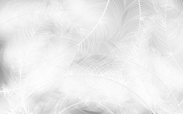 istock Background of flying realistic vector  goose or swan white feathers.Ecological feather filler for pillows, blankets or jackets.Vector concept design. 2008916724