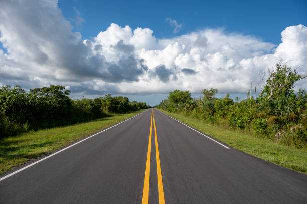 istock Everglades National Park road receding into distance under stormy cloudscape. 2008967992