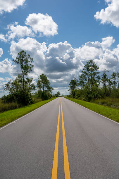 istock Everglades National Park road receding into distance under stormy cloudscape. 2008970038
