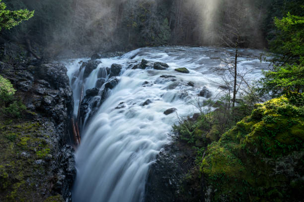 istock Englishman River Falls, Parksville, BC Canada 2008997941