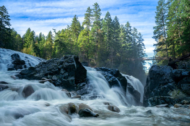 Englishman River Falls, Parksville, BC Canada