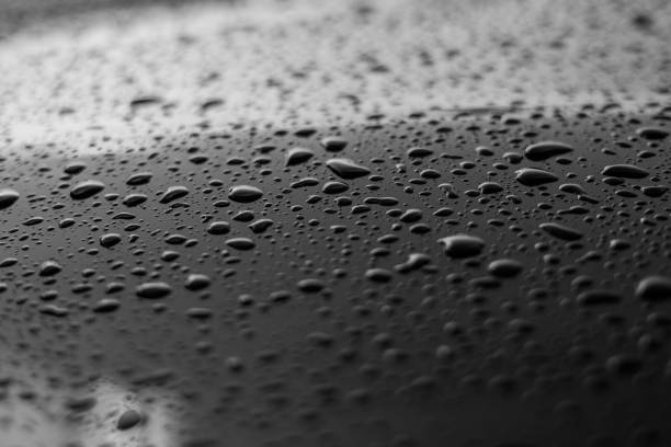 Rain or water drops different size on a black shiny car hood surface. Water droplets on dark iron surface and texture. Abstract background and water texture for design