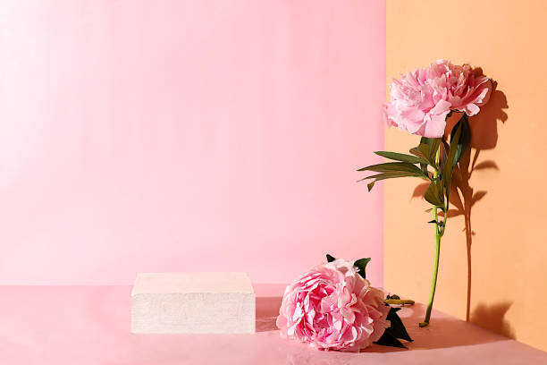 istock Minimal floral composition.Abstract background with empty podium and peonies flowers,empty showcase for display or presentation of cosmetic products,postcard with place for text, 2009012985