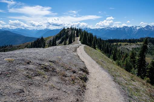Hiking trail at Hurricane Ridge in Olympic National Park, Washington on sunny summer afternoon.