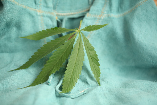 cannabis leaf and hemp fabric
