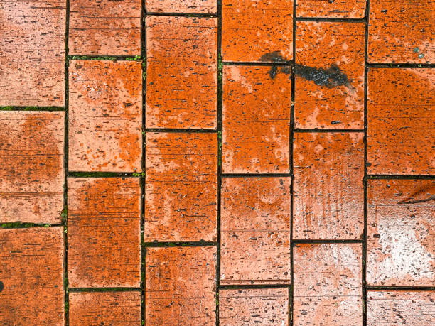 istock Rough and grunge background showcasing an antique stone wall. 2009064976