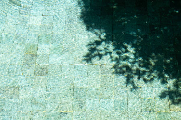 istock Water surface In swimming pool with sunny reflections and shadows. 2009103908