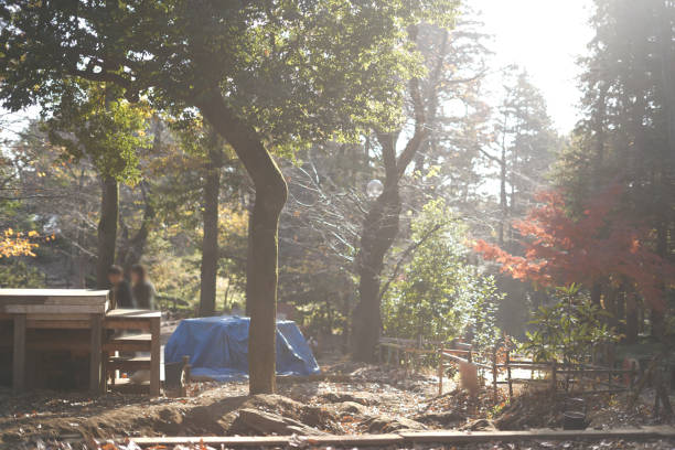 Scenery of the campground