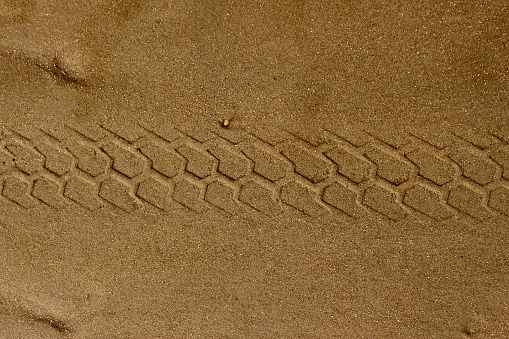 Vehicle Tracks In The Mud