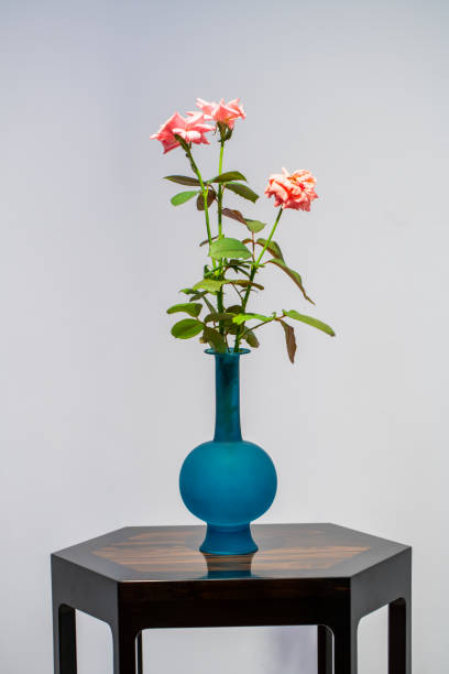istock Modern Chinese living room. potted plants on table 2009260179