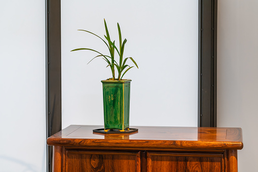 Statuettes of Indian wooden elephants and a natural green flower in a clay pot. Elegant home decor against a white wall.