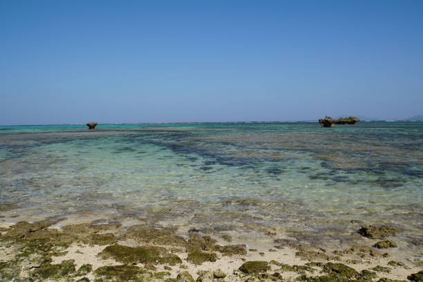 istock Blue Sky and Blue Sea, Ishigaki Island 2009272159