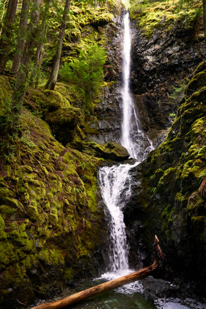istock Tall majestic waterfall cascading down a mountain cliff. 2009314222