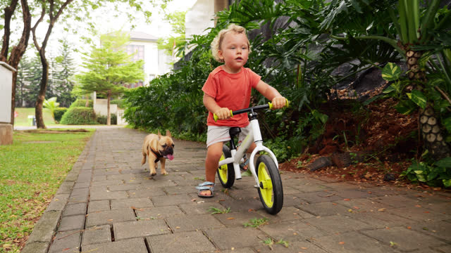 Toddler rides a balance bike, accompanied by a playful puppy, slow motion shot