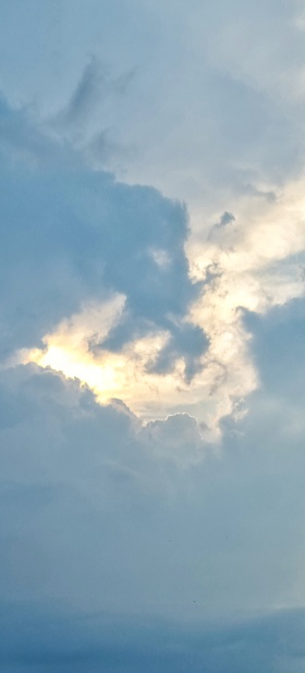 One flying seagull over stormy and sunny sky with sunbeam