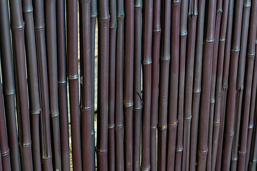 Bamboo fence background