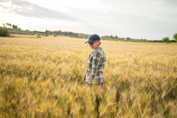 Satisfied female farmer walking in wheat field and checking the state of wheat culture