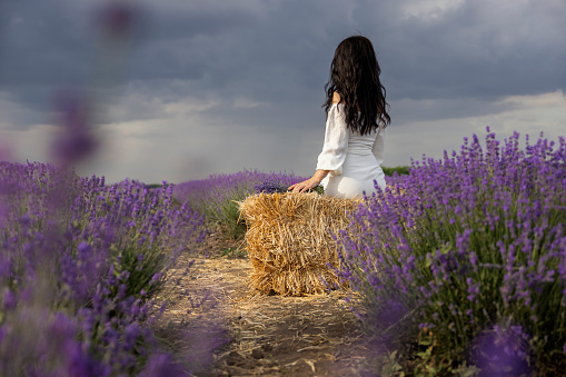 Portrait of a young lovely woman posing in a lavender field with grace.