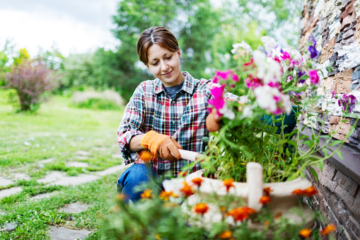 Mid adult woman in garden gloves taking care of flowers using garden hoe