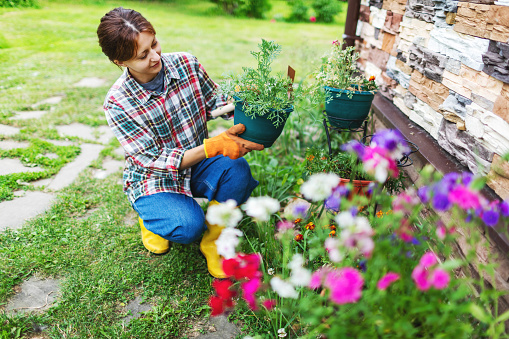 Mid adult woman in garden gloves taking care of flowers