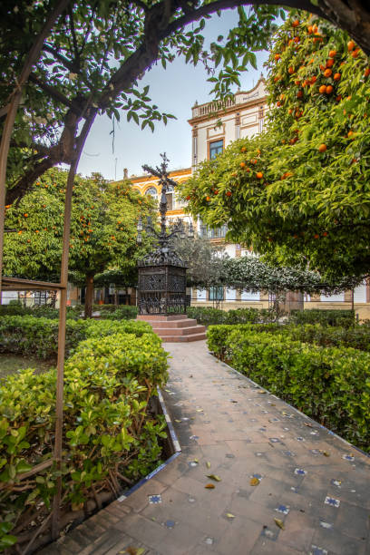 istock Plaza de Santa Cruz, Seville 2009655341