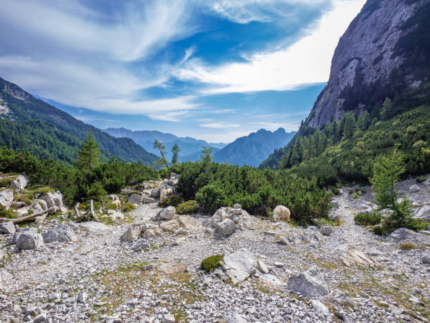 istock The landscape in Alps,  Slovenia 2009675952