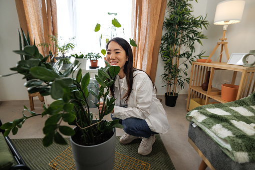 Young smiling woman taking care of plants at home